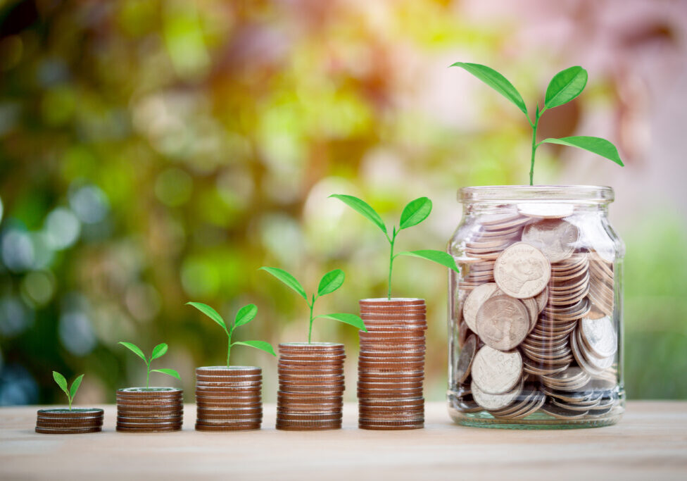 Coins stacked with plants growing out of the coins